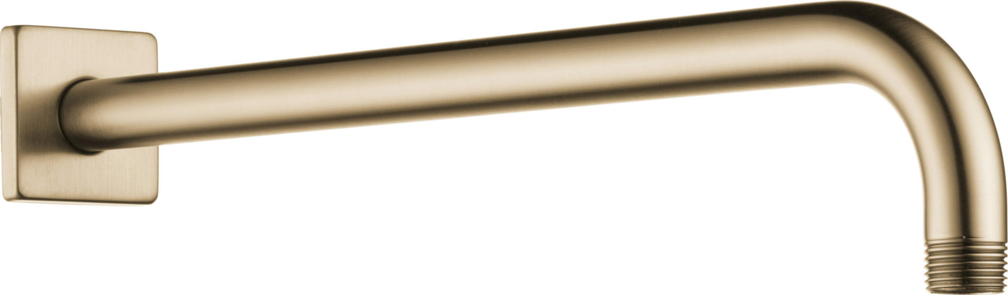 SHOWER ARM AND FLANGE