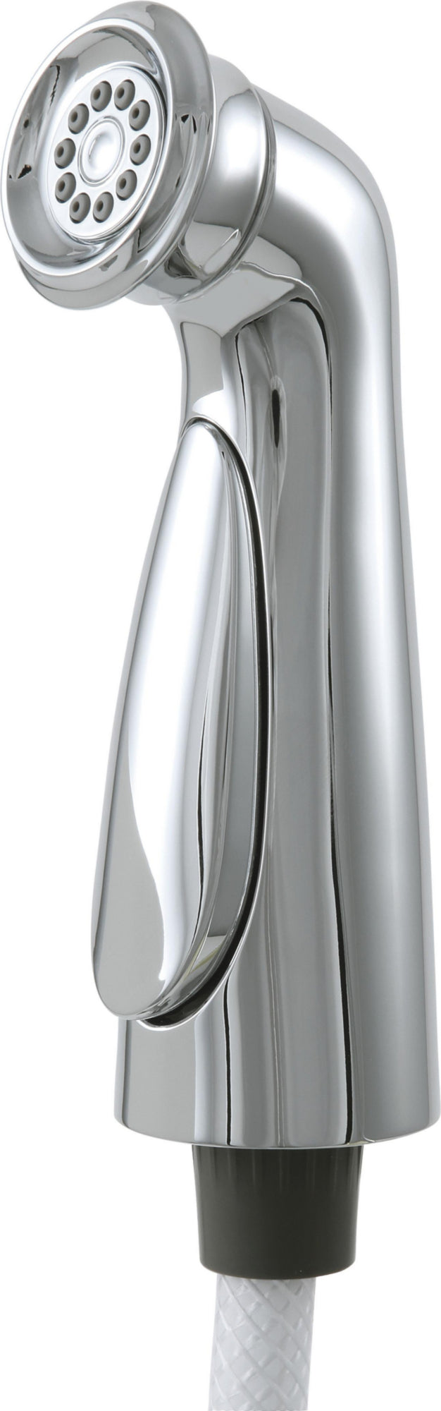 DELTA CASSIDY: SPRAY AND HOSE ASSEMBLY
