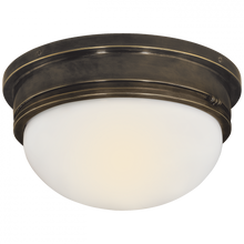 Load image into Gallery viewer, Marine Large Flush Mount
