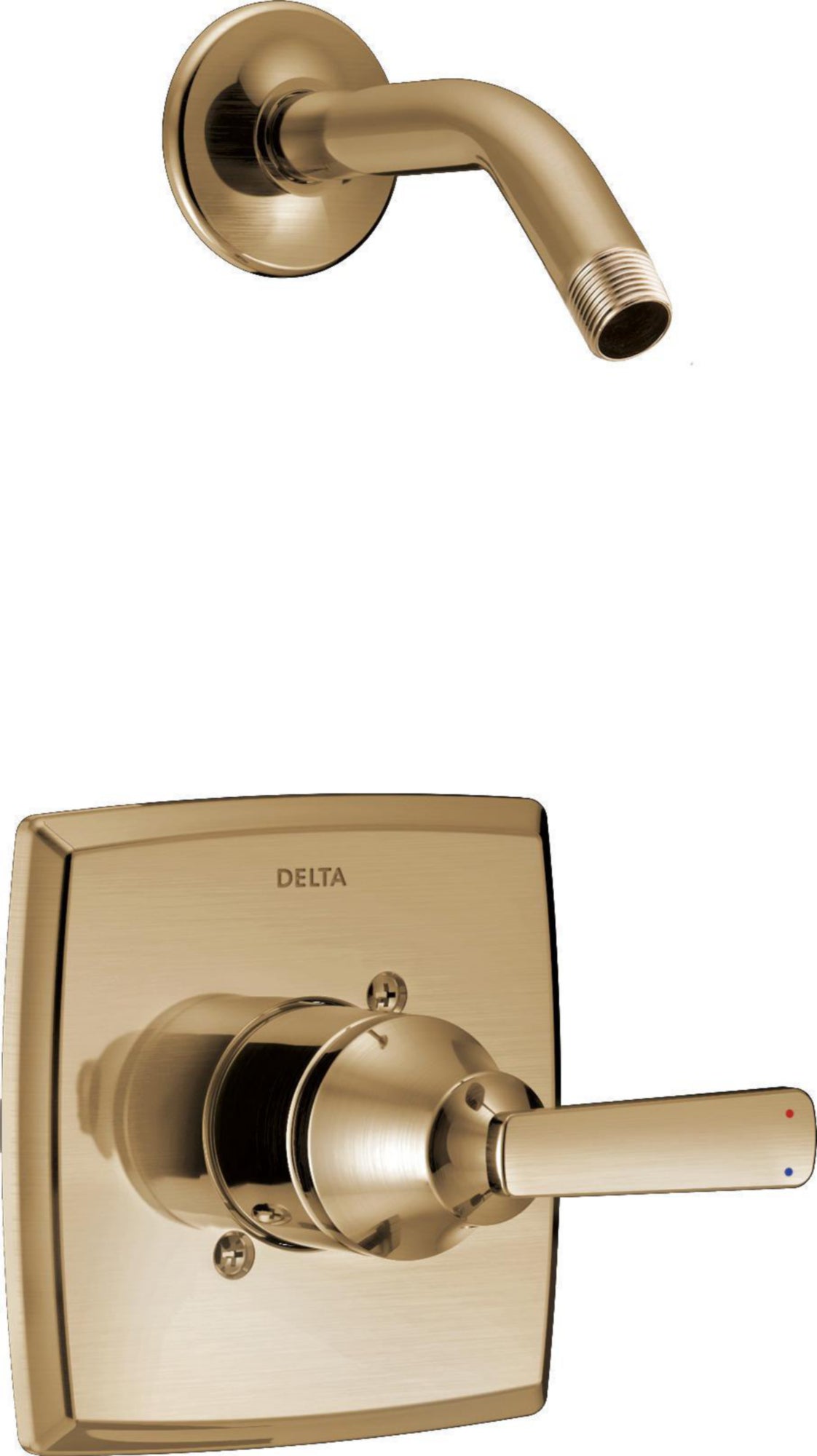 SHOWER ONLY TRIM LESS SHOWERHEAD