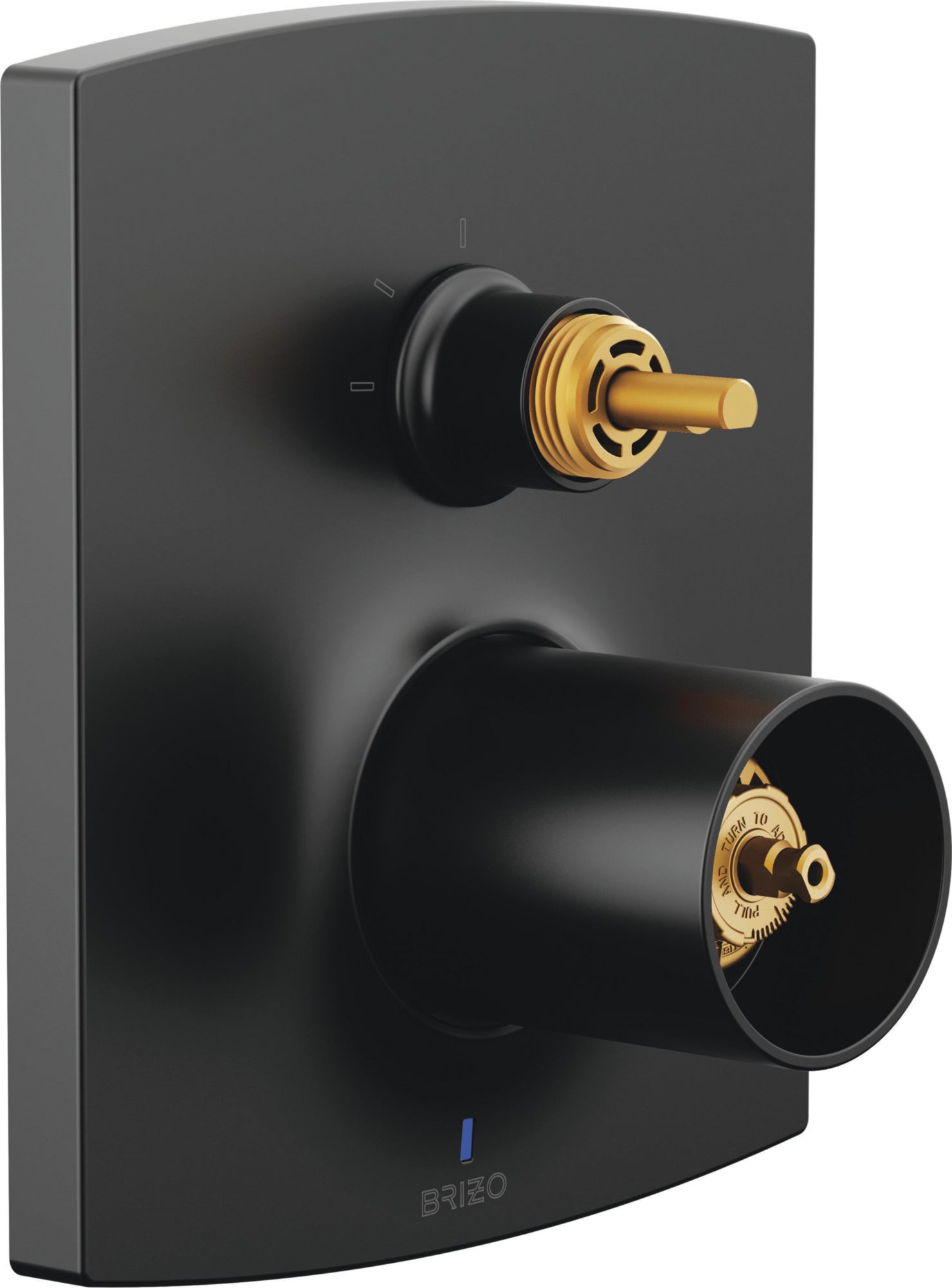 PRESSURE BAL 3F DIVERTER INT TRIM
