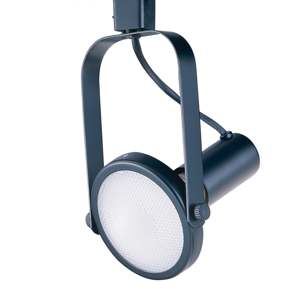 Line Voltage Gimbal track cylinder in a Black finish for use with Par 38 Lamps - BLK