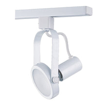 Load image into Gallery viewer, Line Voltage Gimbal track cylinder in a Black finish for use with Par 30 Lamps - WH
