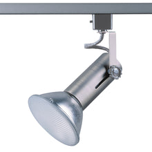 Load image into Gallery viewer, Line Voltage Universal track cylinder in a Black finish for use with Med. Base Lamps - BST
