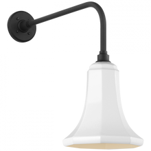 Load image into Gallery viewer, Academy 20&quot; Rex Barn Light
