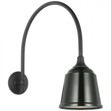 Load image into Gallery viewer, Academy 19.5&quot; Arched Mack Barn Light
