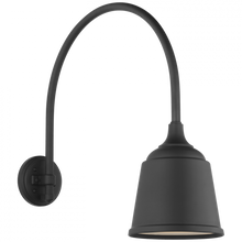 Load image into Gallery viewer, Academy 19.5&quot; Arched Mack Barn Light
