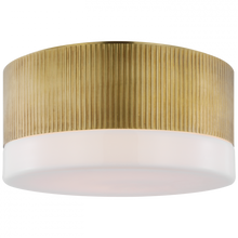 Load image into Gallery viewer, Ace 12&quot; Flush Mount
