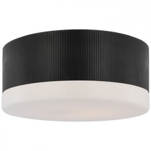 Load image into Gallery viewer, Ace 17&quot; Flush Mount
