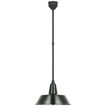 Load image into Gallery viewer, Academy 16&quot; Bowers Pendant
