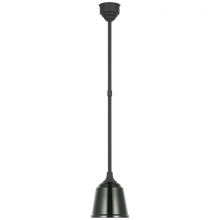 Load image into Gallery viewer, Academy 8&quot; Rockhouse Pendant
