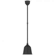 Load image into Gallery viewer, Academy 8&quot; Rockhouse Pendant
