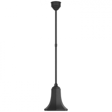 Load image into Gallery viewer, Academy 9.25&quot; Savannah Pendant
