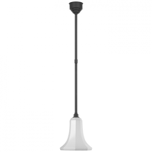 Load image into Gallery viewer, Academy 9.25&quot; Savannah Pendant
