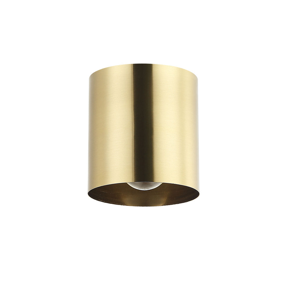 1LT Flush Mount, AGB
