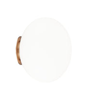 Load image into Gallery viewer, Mayu Wall Sconce/Ceiling Mount
