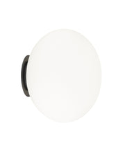 Load image into Gallery viewer, Mayu Wall Sconce/Ceiling Mount
