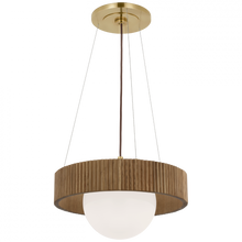 Load image into Gallery viewer, Arena 18&quot; Ring and Globe Chandelier
