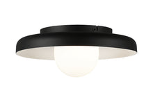Load image into Gallery viewer, Flush Mounts-Matteo Lighting-X34411

