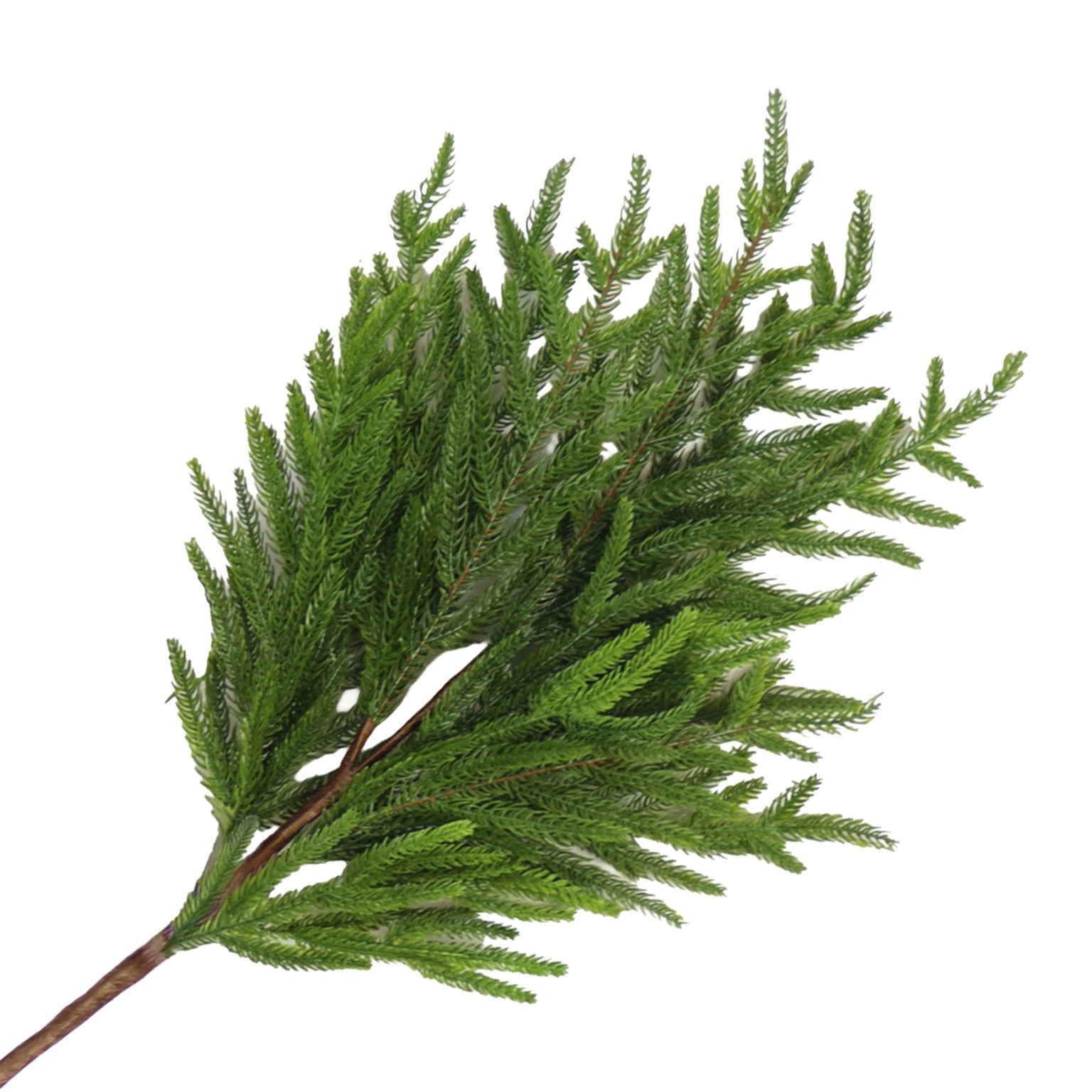 Christmas Greenery