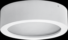 Load image into Gallery viewer, Ara Large Ceiling Lamp
