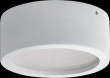 Load image into Gallery viewer, Ara Medium Ceiling Light
