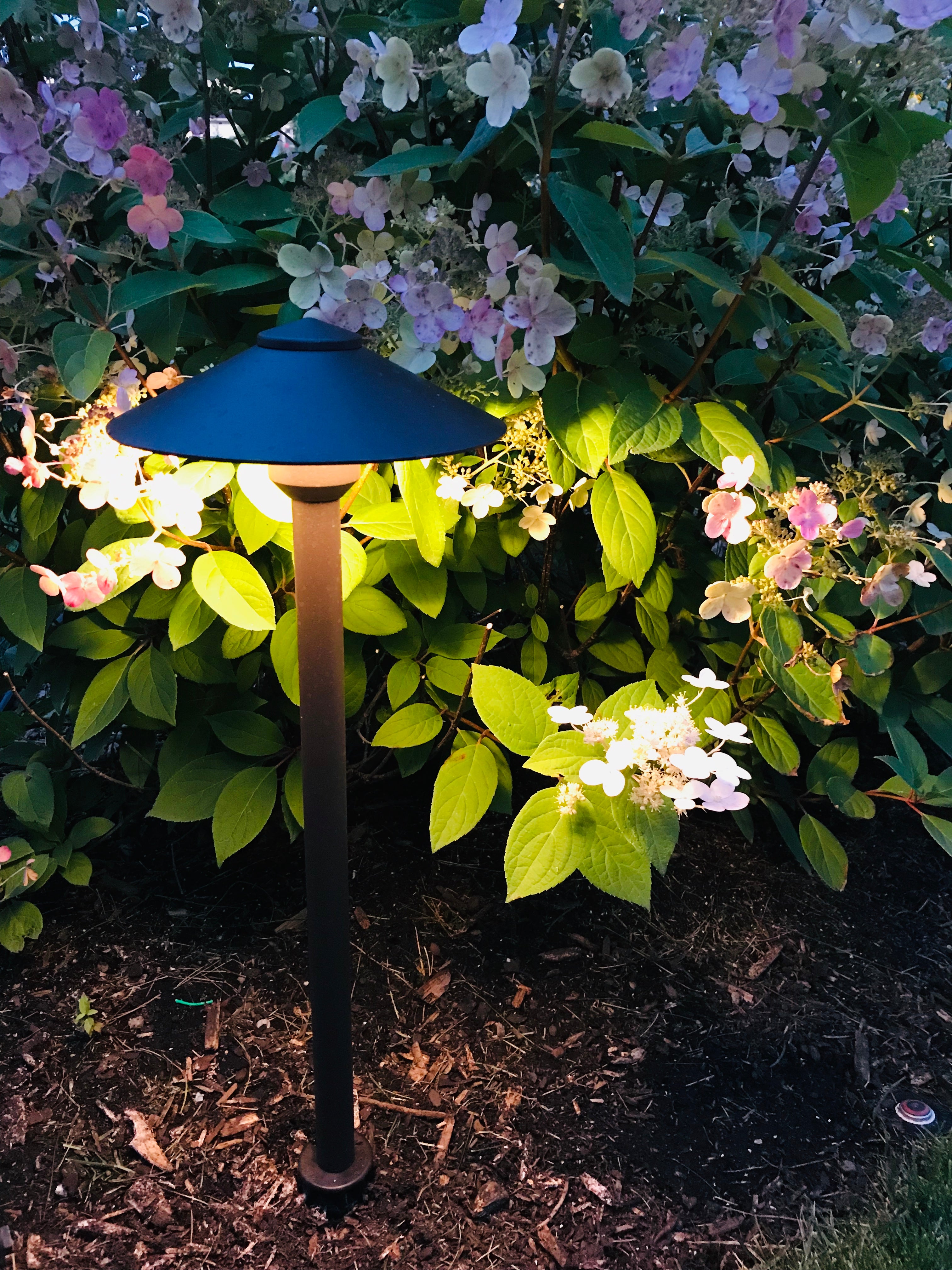 Lelevelle Dome Pathlight (2 Finishes)