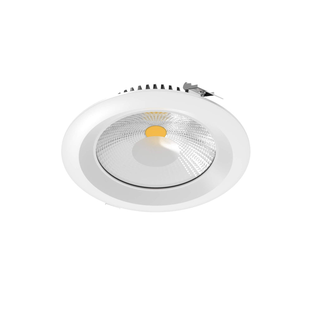 8 Inch High Powered LED Commercial Down Light