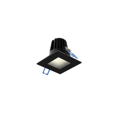 2 Inch Square Indoor/outdoor Regressed Down Light