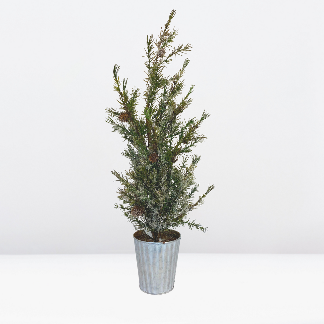 Potted Snowy Pinecone Fir Tree