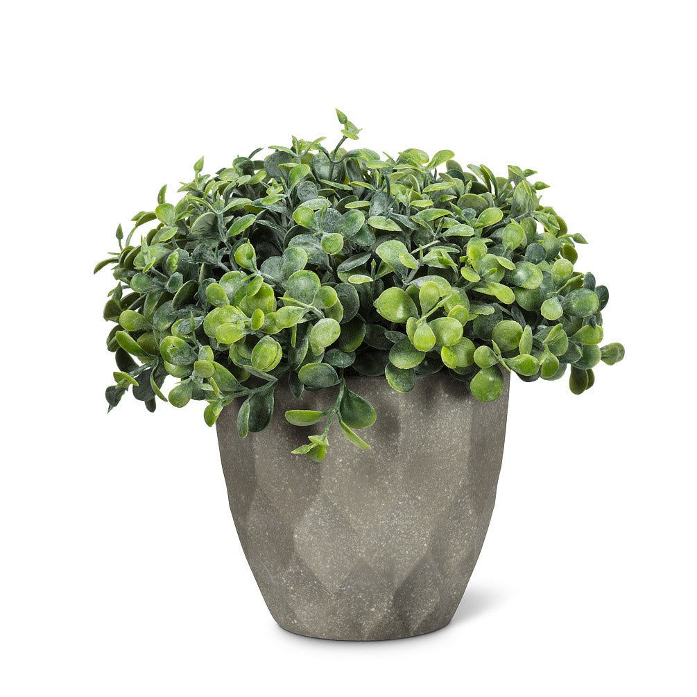 Teardrop Leaf Plant Pot